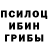 ГЕРОИН хмурый Nadejda Repina