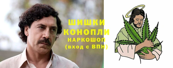 трава Абаза