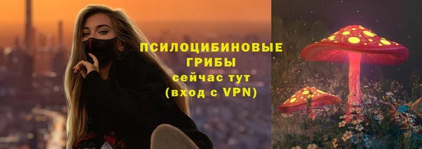трава Абаза