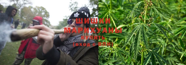 гидра Новокубанск