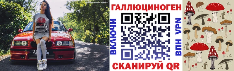 где найти   Туран  Псилоцибиновые грибы ЛСД 