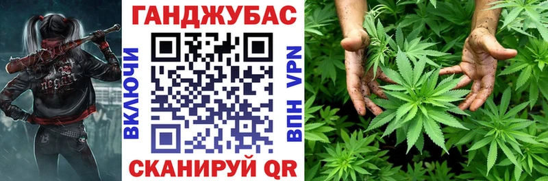 купить наркотик  Туран  Каннабис сатива 